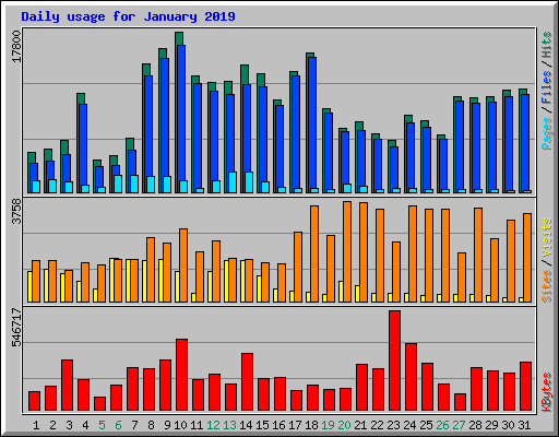 Daily usage for January 2019