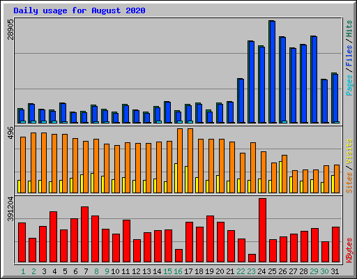Daily usage for August 2020