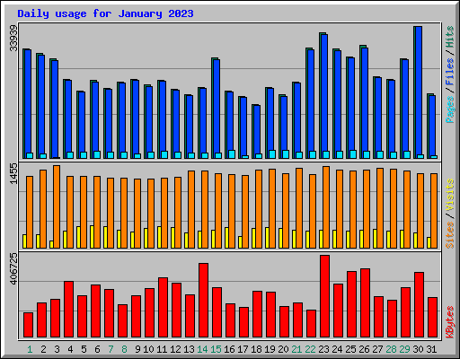 Daily usage for January 2023