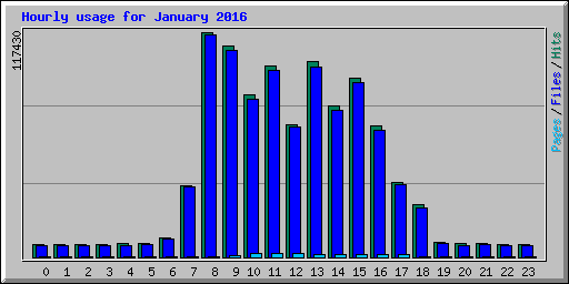 Hourly usage for January 2016