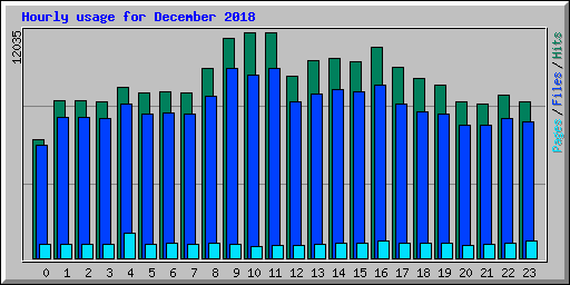 Hourly usage for December 2018