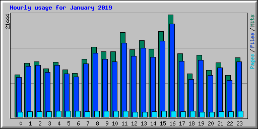 Hourly usage for January 2019