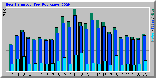 Hourly usage for February 2020