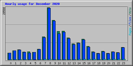 Hourly usage for December 2020