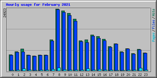 Hourly usage for February 2021
