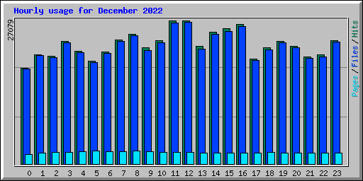 Hourly usage for December 2022
