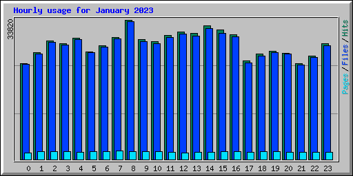 Hourly usage for January 2023