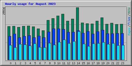 Hourly usage for August 2023
